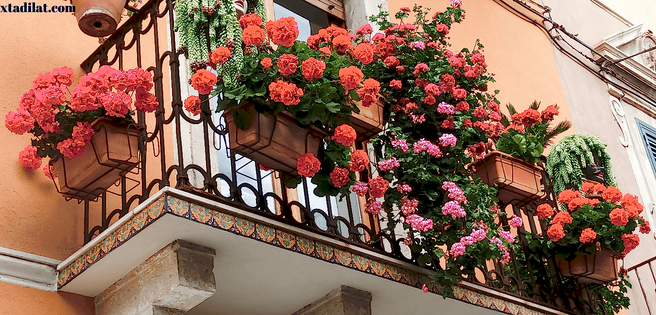 X Tadilat ve Dekorasyon